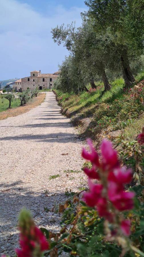 Mosciano SantʼAngelo Castello Di Petecciano B&B מראה חיצוני תמונה